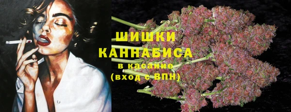спиды Алзамай