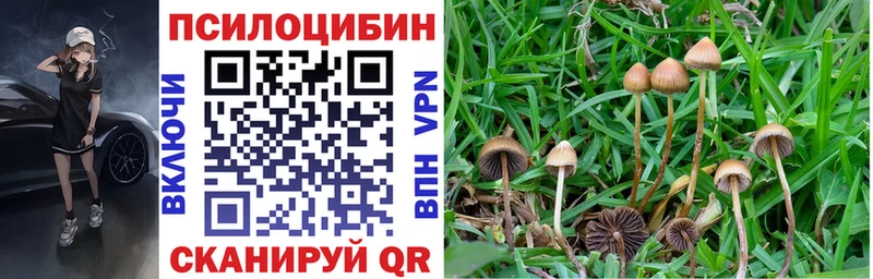 закладка  МЕГА ТОР  Галлюциногенные грибы Cubensis  Ивдель 